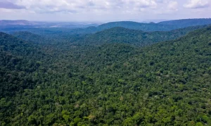 Leia mais sobre o artigo ACORDO DO CLIMA || Cumprimento do Acordo de Paris vai além da Amazônia, aponta relatório