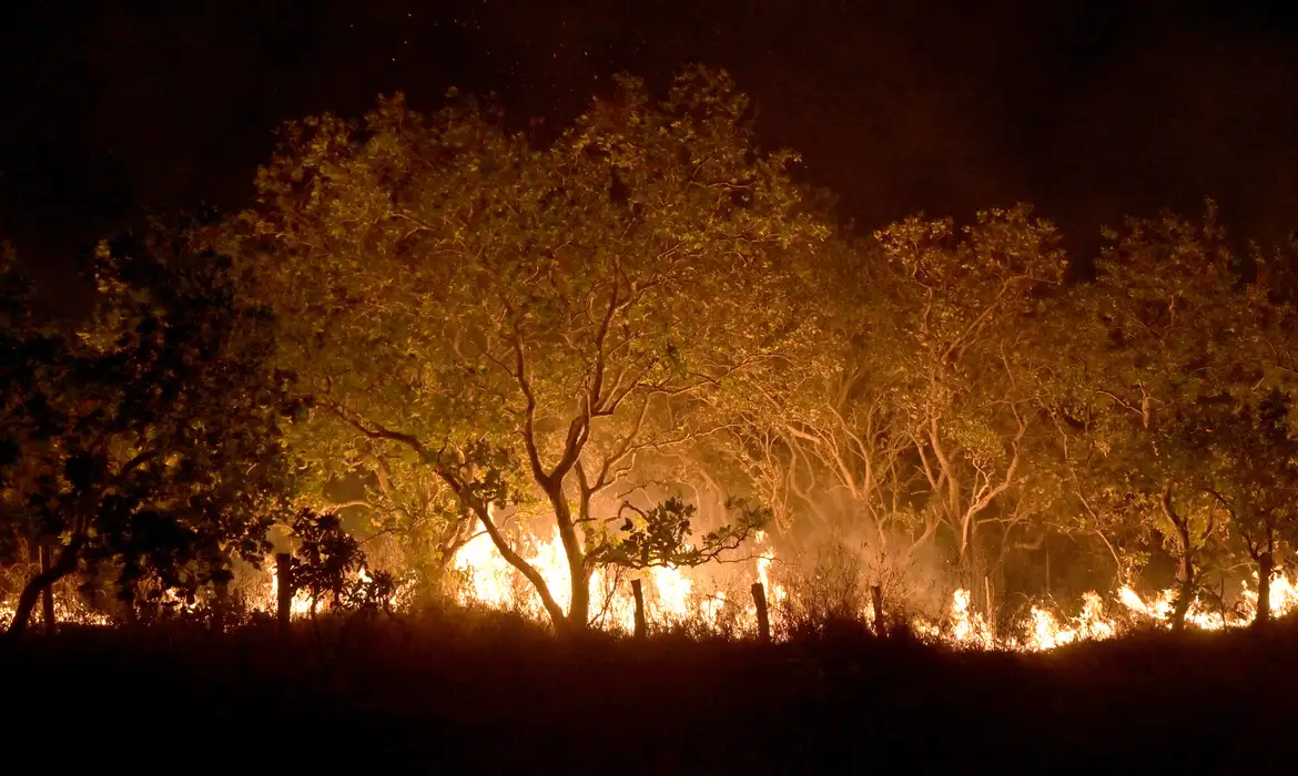 Leia mais sobre o artigo EMERGÊNCIA || Roraima tem 45% do total de focos de queimadas do país em fevereiro